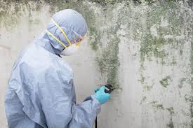 Best Residential Mold Inspection & Testing  in USA